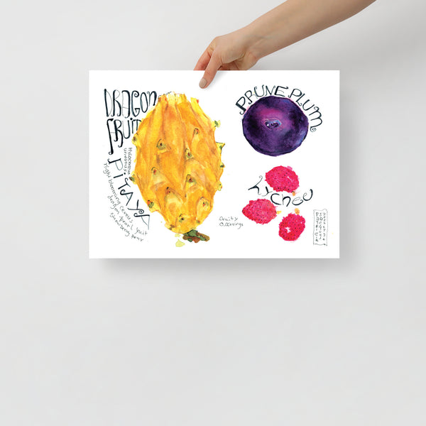 Watercolor, food illustration, dragonfruit illustration, lychee illustration, plum illustration, watercolor art, art print, editorial illustration, art licensing, food illustrator for hire, hire an illustrator, book cover design.