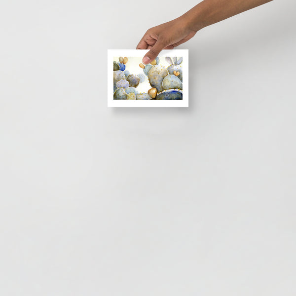 Surface designer, wall art, botanical art, visual art, fine art, painted illustrations, home decor, art licensing, atmospheric, living room wall art, bohemian wall decor, colourful prints, bedroom wall art, succulent watercolor, cactus watercolor, cactus bathroom decor, succulent wall art, botanical illustration, cactus feng shui, southwest cactus decor, garden illustration, succulent room theme, opuntia ficus indica, mexican tuna fruit, Down tempo art, blue and green, prairie prickly pear.