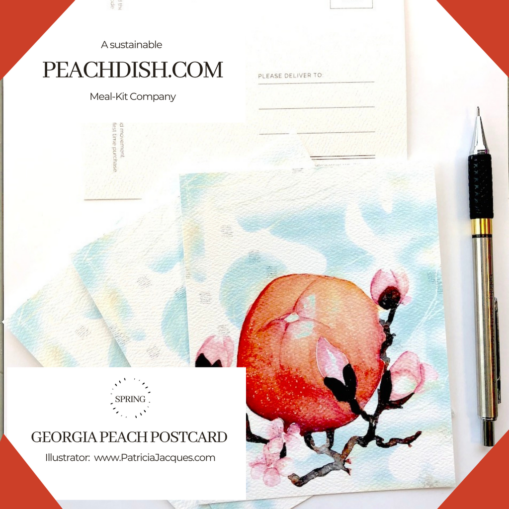 7 Steps to Painting Watercolor Peaches: The Illustration Process