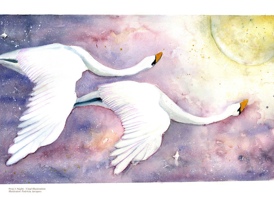 Swans by Moonlight
