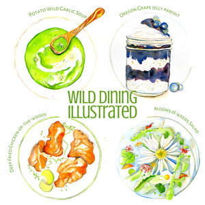100 Wild Meals Illustrated -  Call for Wild Food Recipes