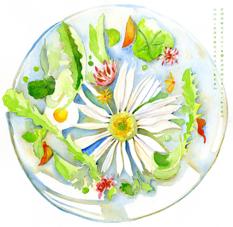 100 Wild Dining Illustrated - Weeds & Wildflowers Salad Recipe